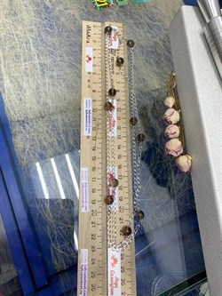 *Колье р.100 Дымчатый Кварц Раухтопаз арт. 8340106114-100-010 Вес 15,55 г - фото 292969 *Колье р.100 Дымчатый Кварц Раухтопаз арт. 8340106114-100-010 Вес 15,55 г - фото 292969