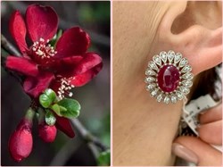 *Серьги Звездчатый Корунд Рубин синт арт. 2340940251-3-794 Вес 7,72 г - фото 294910