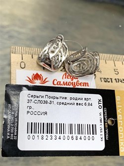 *Серьги Elements арт. 37-СЛ038-31 Вес 6,84 г - фото 297465 *Серьги Elements арт. 37-СЛ038-31 Вес 6,84 г - фото 297465