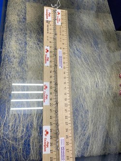 *Цепь р.50-55 д.025 Перлина Сингапур арт. 161163R025L50-961 Вес 4,08 г - фото 298292 *Цепь р.50-55 д.025 Перлина Сингапур арт. 161163R025L50-961 Вес 4,08 г - фото 298292