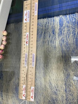 *Цепь р.60 Снейк Квадратный арт. 1804R020L60-037 (Вес 3,17 г) - фото 298583 *Цепь р.60 Снейк Квадратный арт. 1804R020L60-037 (Вес 3,17 г) - фото 298583