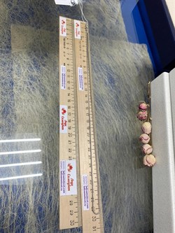 *Цепь р.60 Змейка Белый Родий арт. 2108R140L60-039 (Вес 4,30 г) - фото 298996