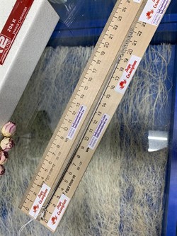 *Браслет р.19 Змейка арт. 2108R300L19+318, (Вес 6,70 г) - фото 299712 *Браслет р.19 Змейка арт. 2108R300L19+318, (Вес 6,70 г) - фото 299712