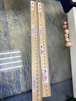 *Цепь р.65 Змейка арт. 2108R120L65-491 (Вес 3,81 г) - фото 300253