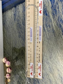 *Цепь р.40 Лента овальная арт. 5257R024L40-782 (Вес 7,08 г) - фото 300627