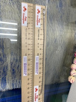 *Браслет р.18 Сетка Машинная арт. 3356R3303L18-400 Вес 1,98 г - фото 301817 *Браслет р.18 Сетка Машинная арт. 3356R3303L18-400 Вес 1,98 г - фото 301817