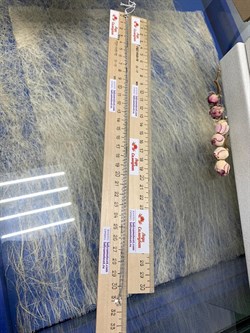 *Цепь р.65 Улитка арт. 2402R035L65-695, Вес 3,3 г - фото 302153