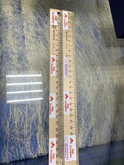 *Цепь р.45-50 Фантазия 2 ряда Перлина Сингапур с  подвеской Круг арт. 032282R015L45-184 Вес 7,94 г - фото 303309