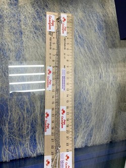 *Цепь р.40-45 Фантазия 2 ряда Перлина Сингапур с подвеской Круг арт. 032282R015L40-041 Вес 7,1 г - фото 303317