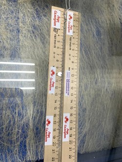 *Браслет р.18-21 Фантазия 2 ряда Перлина Сингапур с подвеской Круг арт. 032282R015L18-345 Вес 3,5 г - фото 303321 *Браслет р.18-21 Фантазия 2 ряда Перлина Сингапур с подвеской Круг арт. 032282R015L18-345 Вес 3,5 г - фото 303321