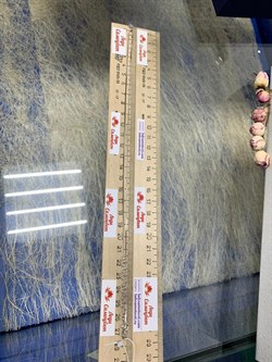 *Цепь р.50-55 Инфинити коробочка Венецианская с подвеской Четырехлистник арт. 0382R01505L50-983 Вес 2,53 г - фото 303411