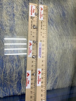 *Браслет р.17-20 Перлина с подвесками сердца арт. 0382R216L17-643 Вес 4,18 г - фото 303454 *Браслет р.17-20 Перлина с подвесками сердца арт. 0382R216L17-643 Вес 4,18 г - фото 303454