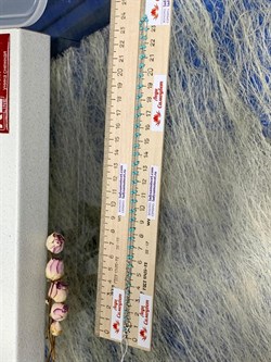 *Цепь р.45 Фантазия с шариками с эмалью цв Бирюзовый арт 0382R082L45tr-428 (Вес 3,23 г) - фото 303523