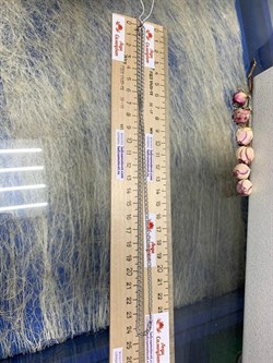 *Цепь р.50 Двойной ромб арт. 0404R050L50-486, (Вес 6,04 г) - фото 303568