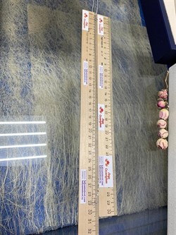 *Цепь р.60 Роло Плоская арт. 0742R025L60-159 Вес 1,09 г - фото 303910 *Цепь р.60 Роло Плоская арт. 0742R025L60-159 Вес 1,09 г - фото 303910