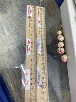 *Цепь р.70 арт. 074260R025L70-654 Роло плоская с шариками 2,5 мм (Вес 2,7 г) - фото 304172 *Цепь р.70 арт. 074260R025L70-654 Роло плоская с шариками 2,5 мм (Вес 2,7 г) - фото 304172