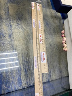 *Цепь р.70 Якорь квадратный арт. 0804R050L70-155 (Вес 5,03 г) - фото 304784