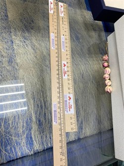 *Цепь р.70 Якорь квадратный арт. 0804R040L70-126 (Вес 2,98 г) - фото 304912 *Цепь р.70 Якорь квадратный арт. 0804R040L70-126 (Вес 2,98 г) - фото 304912