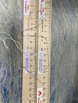 *Цепь р.50 Коробочка Венецианская арт. 1404R015L50-934 Вес 2,15 г - фото 305060 *Цепь р.50 Коробочка Венецианская арт. 1404R015L50-934 Вес 2,15 г - фото 305060