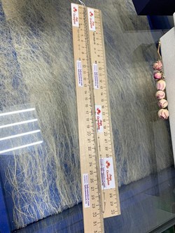 *Цепь р.55+ Коробочка Венецианская с шариками арт. 141163R012L55-640 (Вес 2,67 г) - фото 305065 *Цепь р.55+ Коробочка Венецианская с шариками арт. 141163R012L55-640 (Вес 2,67 г) - фото 305065