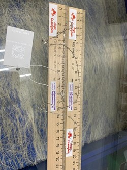 *Цепь р.55+ Коробочка Венецианская с шариками арт. 141163R012L55-640 (Вес 2,67 г) - фото 305070 *Цепь р.55+ Коробочка Венецианская с шариками арт. 141163R012L55-640 (Вес 2,67 г) - фото 305070