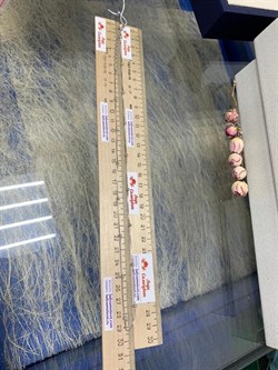 *Цепь р.55+ Коробочка Венецианская с шариками арт. 141163R015L55-845 (Вес 3,79 г) - фото 305104 *Цепь р.55+ Коробочка Венецианская с шариками арт. 141163R015L55-845 (Вес 3,79 г) - фото 305104