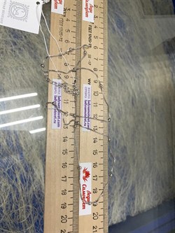 *Цепь р.50+ Коробочка Венецианская с шариками арт. 141163R015L50-296 (Вес 3,58 г) - фото 305109 *Цепь р.50+ Коробочка Венецианская с шариками арт. 141163R015L50-296 (Вес 3,58 г) - фото 305109