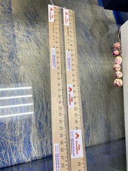 *Цепь р.55 Коробочка Венецианская арт. 1404R010L55-340 (Вес 1,18 г) - фото 305212 *Цепь р.55 Коробочка Венецианская арт. 1404R010L55-340 (Вес 1,18 г) - фото 305212