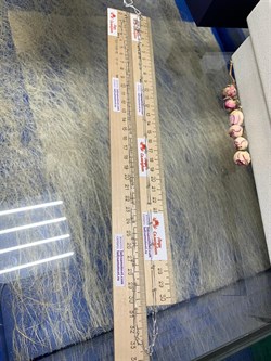 *Цепь р.150 Коробочка Венецианская с шариками арт. 140811R012L150-907 (Вес 5,8 г) - фото 305255 *Цепь р.150 Коробочка Венецианская с шариками арт. 140811R012L150-907 (Вес 5,8 г) - фото 305255