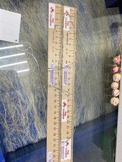 *Цепь р.120 Коробочка Венецианская с шариками арт. 140811R012L120-189 (Вес 4,80 г) - фото 305261 *Цепь р.120 Коробочка Венецианская с шариками арт. 140811R012L120-189 (Вес 4,80 г) - фото 305261