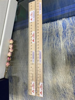 *Цепь р.55 Коробочка Венецианская арт. 1430R060L55-888 (Вес 3,1 г) - фото 305283