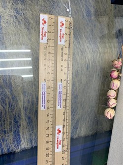 *Цепь р.40 Коробочка Венецианская арт. 1408R022L40-848 Вес 2,6 г - фото 305390