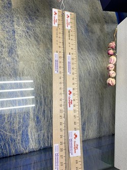 *Цепь р.60 Коробочка Венецианская арт. 1408R022L60-512 Вес 3,9 г - фото 305459