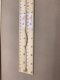 *Браслет р.18 Танзанит цв Лимонное арт 10-320400-00-31-814 вес 6,19 г - фото 309931 *Браслет р.18 Танзанит цв Лимонное арт 10-320400-00-31-814 вес 6,19 г - фото 309931