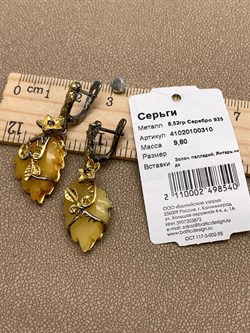 *Серьги Янтарь арт. 41020100310-540, (Вес 9,8г) - фото 313926 *Серьги Янтарь арт. 41020100310-540, (Вес 9,8г) - фото 313926