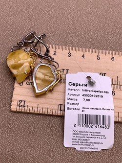 *Серьги Янтарь арт. 43020102519-483, (Вес 7,98г) - фото 314745 *Серьги Янтарь арт. 43020102519-483, (Вес 7,98г) - фото 314745