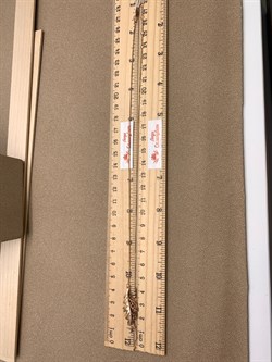 *Колье р.54-50 Лист дуба цв Красное арт. 07-0197-00-000-1110-48-126 вес 3,55 г - фото 314948 *Колье р.54-50 Лист дуба цв Красное арт. 07-0197-00-000-1110-48-126 вес 3,55 г - фото 314948