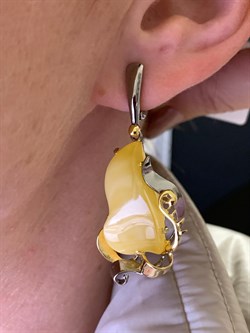 *Серьги Янтарь арт. 63020119541-581, (Вес 10,54г) - фото 315523 *Серьги Янтарь арт. 63020119541-581, (Вес 10,54г) - фото 315523