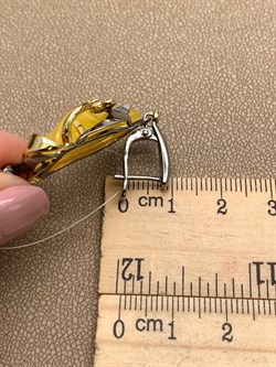 *Серьги Янтарь арт. 63020119541-581, (Вес 10,54г) - фото 315525 *Серьги Янтарь арт. 63020119541-581, (Вес 10,54г) - фото 315525