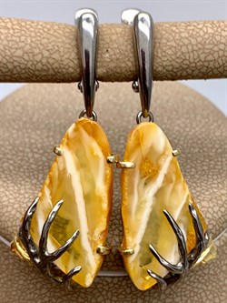 *Серьги Янтарь арт. 43020119541-508, (Вес 7,27г) - фото 315568 *Серьги Янтарь арт. 43020119541-508, (Вес 7,27г) - фото 315568