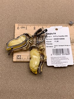 *Серьги Янтарь арт. 43020102546-860, (Вес 11,91г) - фото 315785 *Серьги Янтарь арт. 43020102546-860, (Вес 11,91г) - фото 315785