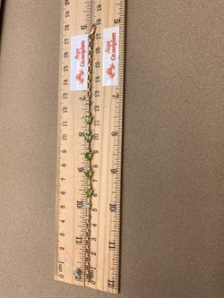 *Браслет р.17,5 Хризолит цв Красное арт. 08-1-043-08-253 (вес 5,41 г) - фото 319019 *Браслет р.17,5 Хризолит цв Красное арт. 08-1-043-08-253 (вес 5,41 г) - фото 319019