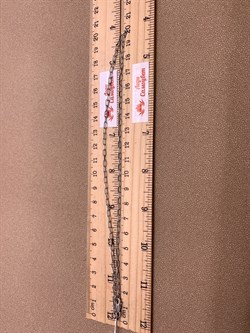 *Цепь р.40 Якорь вытянутый арт. 0830R060L40-057 (Вес 3,6 г) - фото 320244 *Цепь р.40 Якорь вытянутый арт. 0830R060L40-057 (Вес 3,6 г) - фото 320244