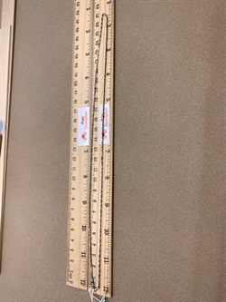 *Цепь р.55 Фантазия литые звенья цилиндры арт. 0308R060L55-749 (Вес 6,5 г) - фото 323542 *Цепь р.55 Фантазия литые звенья цилиндры арт. 0308R060L55-749 (Вес 6,5 г) - фото 323542