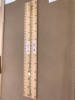 *Цепь р.45 Розарий с подвеской Роло гладкая шарики арт. 0300Y16554L45-072, (Вес 3,7 г) - фото 323889 *Цепь р.45 Розарий с подвеской Роло гладкая шарики арт. 0300Y16554L45-072, (Вес 3,7 г) - фото 323889