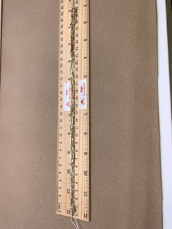 *Цепь р.50 Коробочка облегченная 6 рядов арт. 140251YZS040L50-195 (Вес 8,3 г) - фото 324530 *Цепь р.50 Коробочка облегченная 6 рядов арт. 140251YZS040L50-195 (Вес 8,3 г) - фото 324530