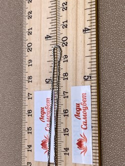 *Цепь р.40 Коробочка Венецианская арт. 1408R019L40-187 (Вес 2,2 г) - фото 324563