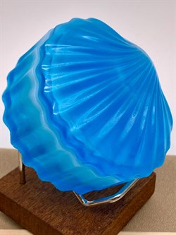 Ракушка Шкатулка арт 231224 вес 115,33 гр Украшение для интерьера Ручная работа - фото 325811 Ракушка Шкатулка арт 231224 вес 115,33 гр Украшение для интерьера Ручная работа - фото 325811