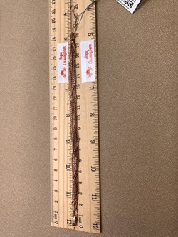 *Браслет р.18-20 Якорь 15 рядов арт. 7100477-С881-01-683 Вес 8,99 г - фото 326152 *Браслет р.18-20 Якорь 15 рядов арт. 7100477-С881-01-683 Вес 8,99 г - фото 326152