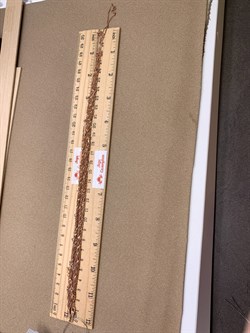 *Шейное украшение р.40-45 Сингапур 7 рядов арт. 8100480-С881-01-438 Вес 11,36 г - фото 326510 *Шейное украшение р.40-45 Сингапур 7 рядов арт. 8100480-С881-01-438 Вес 11,36 г - фото 326510